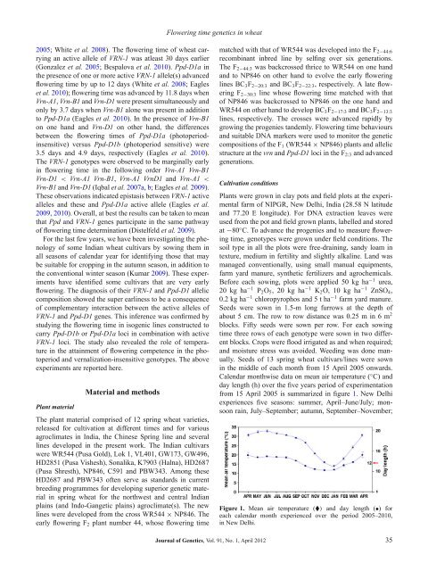 Genetics of flowering time in bread wheat Triticum aestivum - Indian ...