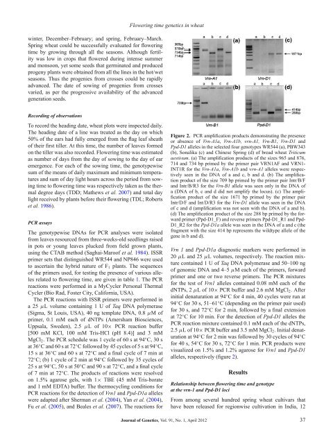 Genetics of flowering time in bread wheat Triticum aestivum - Indian ...