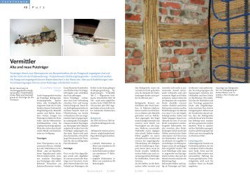 Vermittler alte und neue Putzträger - Bauverlag