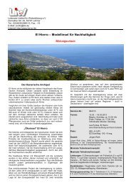 El Hierro – Modellinsel für Nachhaltigkeit.pdf - LIW