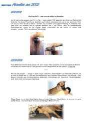 Aktuelles aus 2002 - Pro Animal de Tenerife Waldhunde
