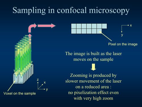 Confocal Microscopy Principles