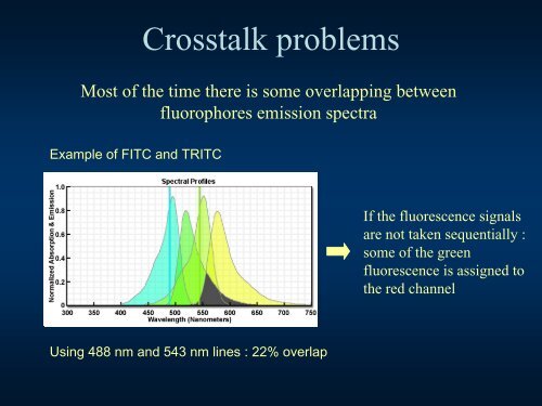 Confocal Microscopy Principles