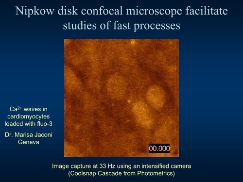 Confocal Microscopy Principles