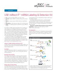 USB® miRtect-IT™ miRNA Labeling & Detection Kit