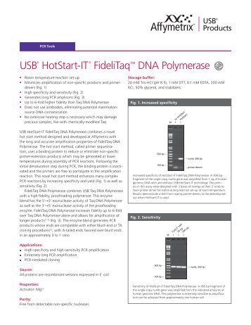 USB® HotStart-IT® FideliTaq™ DNA Polymerase