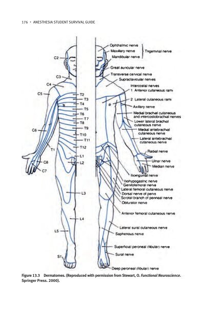 Anesthesia Student Survival Guide.pdf - Index of