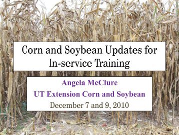Corn and Soybean Update (Angela McClure) - UTcrops.com