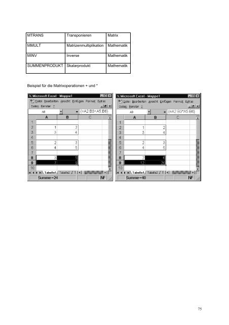 PDF-Version - am Institut für Baustatik