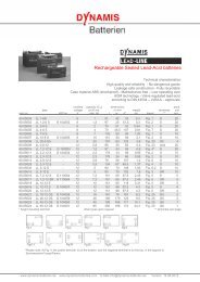 Datasheet pdf - DYNAMIS Batterien