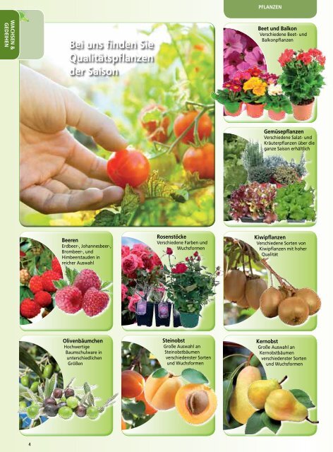 Download Katalog (pdf 15mb) - Gartenmarkt