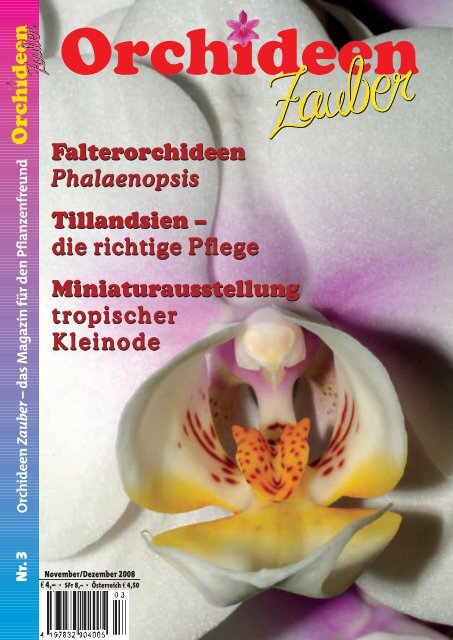 Falterorchideen Phalaenopsis Tillandsien – die ... - OrchideenZauber