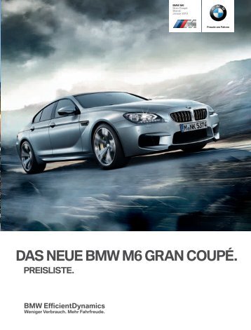 Eulergroup bmw #2