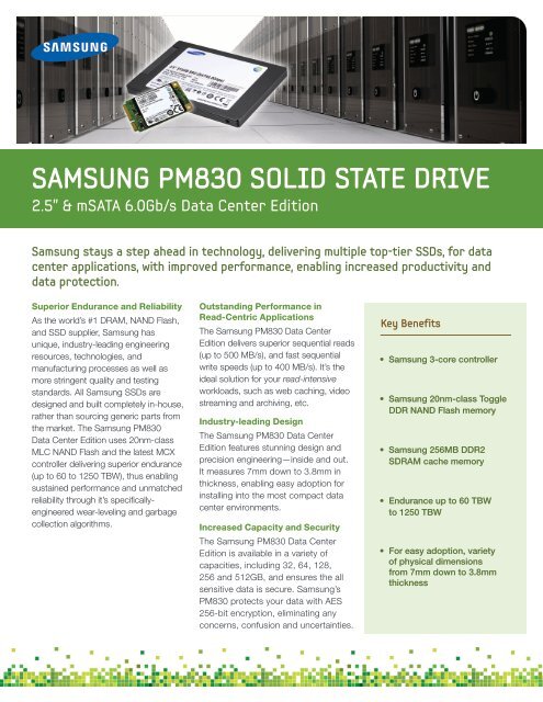 SAMSUNG PM830 SOLID STATE DRIVE