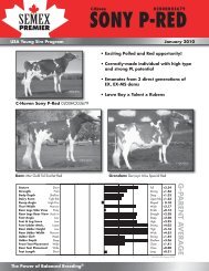 SONY P-RED - Semex