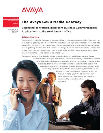 The Avaya G250 Media Gateway