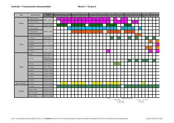 Stundenplan Vorklinik - 1. Fachsemester