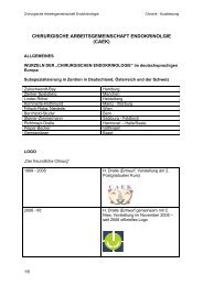 CAEK Chronik 2012 Kurzfassung