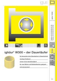 iglidur® W300 – der Dauerläufer - Igus