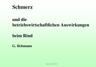 Schmerz und die betriebswirtschaftlichen Auswirkungen beim Rind