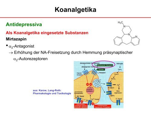 Analgetika II - Institut für Pharmakologie und Toxikologie ...