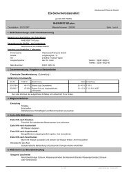 RHEOSEPT-SD plus (PDF, 71 kB) - Medigroba GmbH