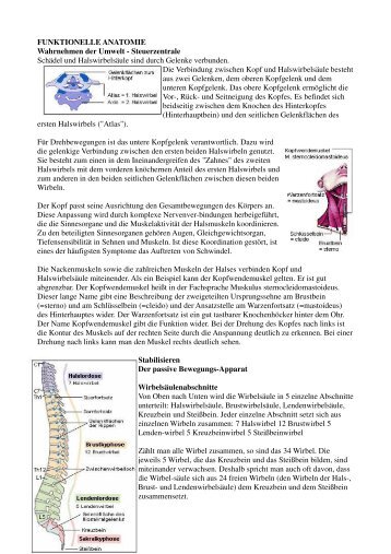 FUNKTIONELLE ANATOMIE Wahrnehmen der Umwelt ...