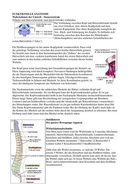 Funktionelle Anatomie Wahrnehmen Der Umwelt