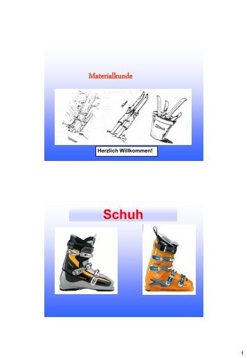 Materialkunde Ski alpin (Mag. Klaus Hopferwieser)