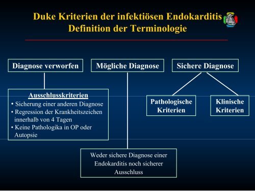 4. Vortrag Endokarditis - Dr. med. C. Naber (ca