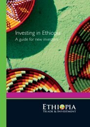 Investing in Ethiopia – A guide for new investors