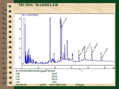 ÜMMÜHAN TİBET - Ulusal Zeytin ve Zeytinyağı Konseyi