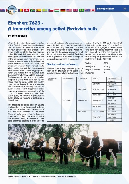 Eisenherz 7623 - A trendsetter among polled Fleckvieh bulls