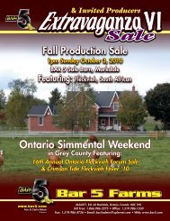 Fall Production Sale - Bar 5 Stock Farms Ltd.