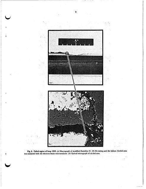 Evaluation of hastelloy N alloys after nine years exposure to both a ...