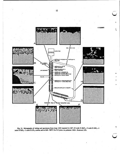 Evaluation of hastelloy N alloys after nine years exposure to both a ...