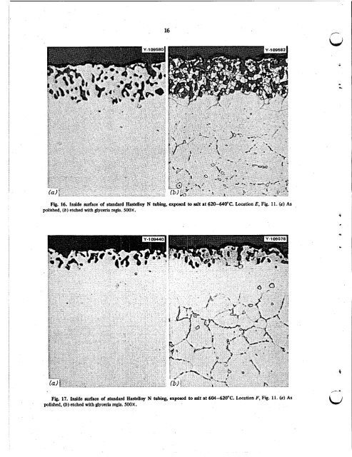 Evaluation of hastelloy N alloys after nine years exposure to both a ...