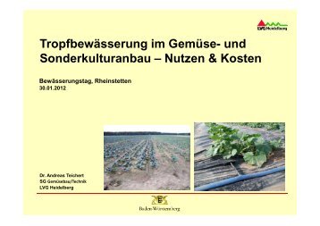 Tropfbewässerung im Gemüse - Baden-Württemberg