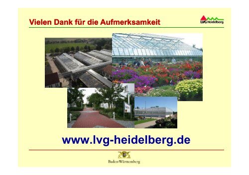 Tropfbewässerung im Gemüse - Baden-Württemberg