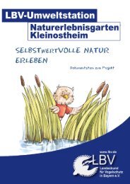 SELBSTwertVOLLE NATUR ERLEBEN - LBV Untermain