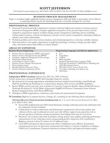 sample chrono functional resume with graphic chrono functional resume