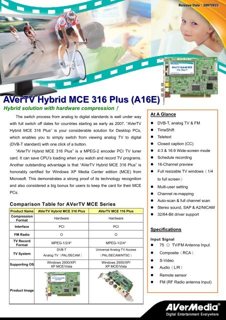 AVerTV Hybrid MCE 316 Plus (A16E) - AVerMedia
