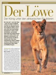 Artikel herunterladen (PDF) - Hunde-Akademie Perdita Lübbe