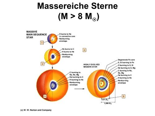 Gleichgewichts- Phasen im Leben eines Sterns