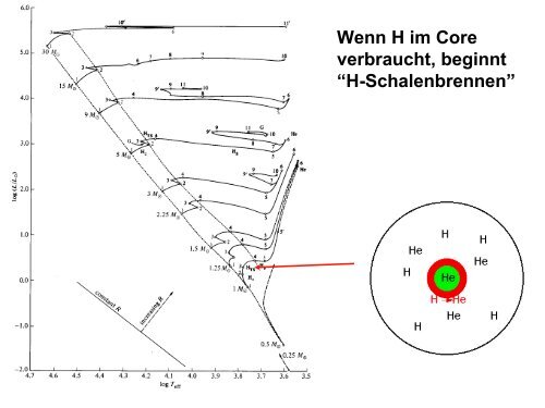 Gleichgewichts- Phasen im Leben eines Sterns