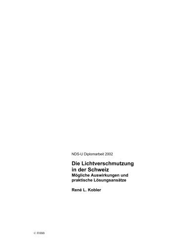 Die Lichtverschmutzung in der Schweiz - Mögliche Auswirkungen und