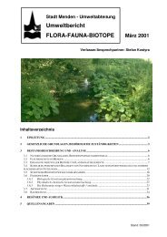 Umweltbericht Flora-Fauna-Biotope - Stadt Menden
