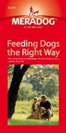 Feeding Dogs the Right Way - Mera Dog