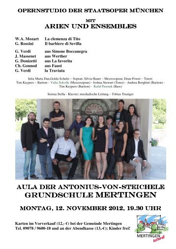 Flyer 12.11.2012 - Mertingen