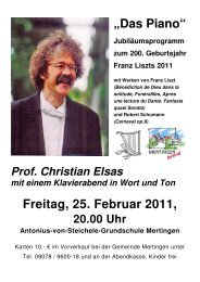 Flyer 25.02.2011 - Mertingen